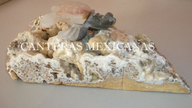 tortuga de ónix